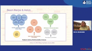20240626 – Dünya Alerji Haftası