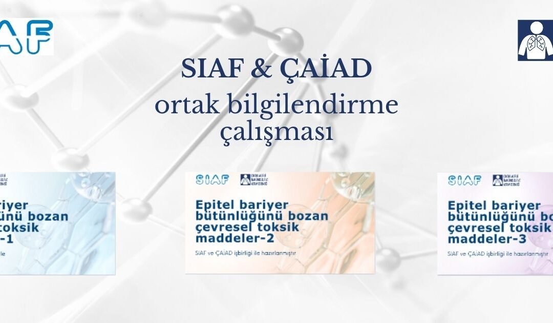 Epitel Bariyerine Zarar Veren Çevresel ve Toksik Faktörler